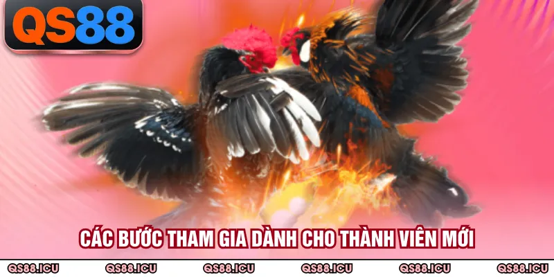 Các bước tham gia dành cho thành viên mới