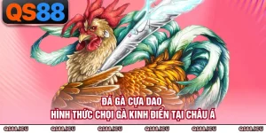 Đá Gà Cựa Dao - Hình Thức Chọi Gà Kinh Điển Tại Châu Á