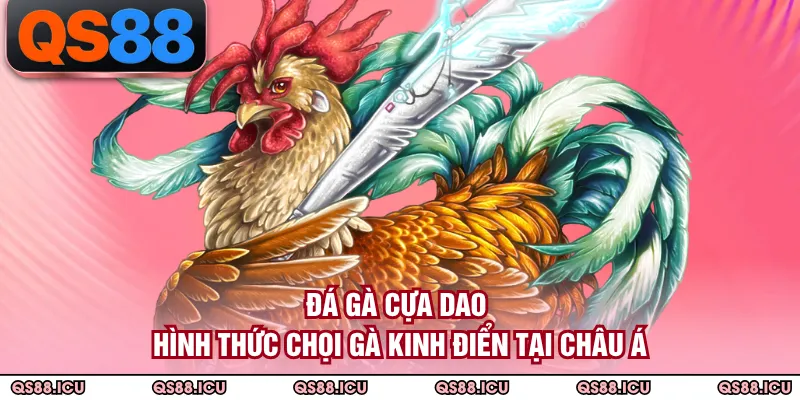 Đá Gà Cựa Dao - Hình Thức Chọi Gà Kinh Điển Tại Châu Á