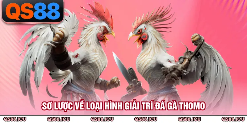Sơ lược về loại hình giải trí đá gà Thomo