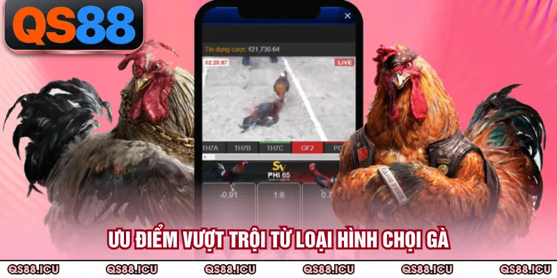 Ưu điểm vượt trội từ loại hình chọi gà